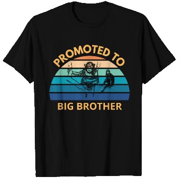 Discover Promoted To Big Brother T Shirts