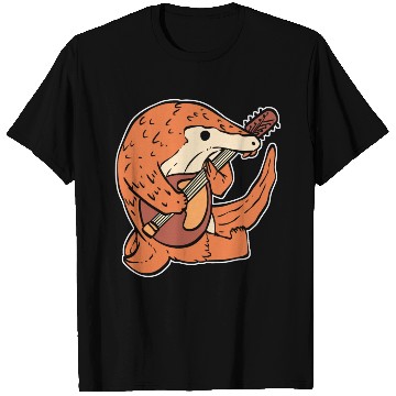 Discover Playing Mandolin Mandolin Player Or Musician Gift T Shirts