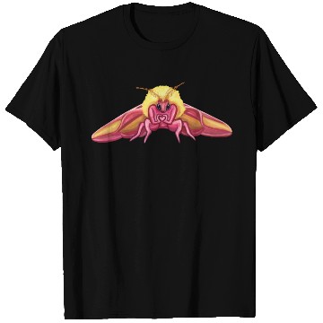 Discover Cute Rosy Maple Moth T Shirts