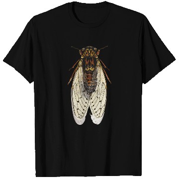 Discover cicada T Shirts