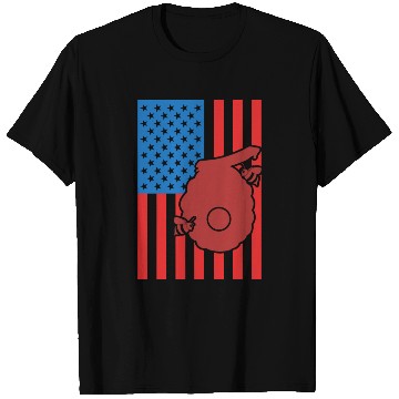 Discover Beekeeping US Flag T Shirts