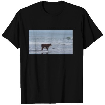 Discover I May Be Stupid T Shirts