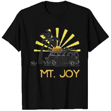 Discover Mt Joy Classic T Shirts