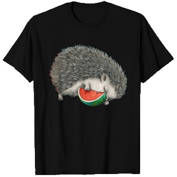 Discover Hedgehog Sleeping With Watermelon T Shirts
