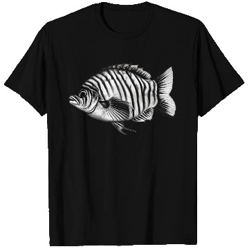 Discover Fish T Shirts