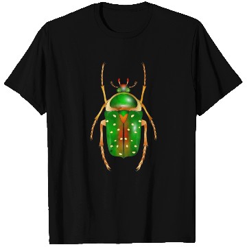 Discover Stephanorrhina guttata-beautiful insect T Shirts