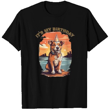 Discover It's my Birthday Design T Shirts
