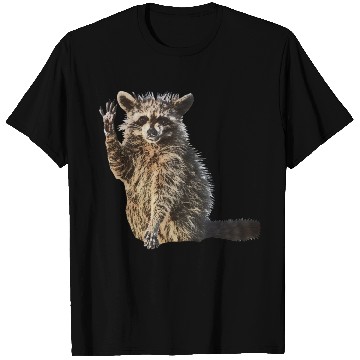 Discover Sunny Raccoon: Happy Print Collection T Shirts