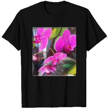 Discover Orchid 1 T Shirts