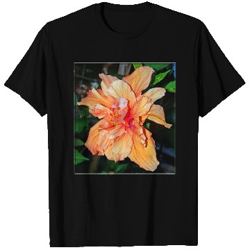 Discover Hibiscus 1 T Shirts