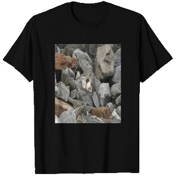 Discover Camouflage Cat On Rocks Gifts for Animal Lovers T Shirts