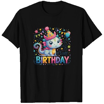 Discover Its My Birthday Sweet Birthday Dragon T Shirts