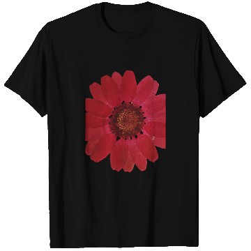 Discover Red Sunflower T Shirts