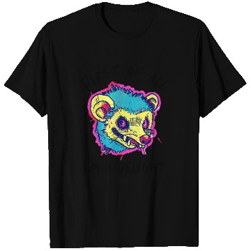 Discover Funny Opossum First of All I'm a Delight Humor T Shirts