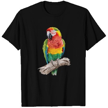 Discover Macaw Parrot for a Bird Lover Animal Lover T Shirts