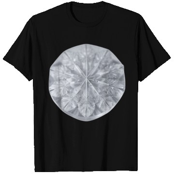 Discover Ice Crystal T Shirts