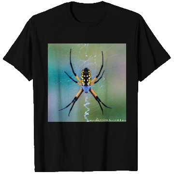 Discover Garden Spider T Shirts