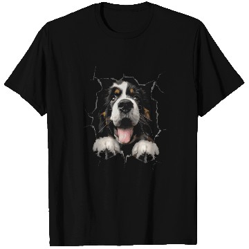 Discover Saint Bernard T Shirts