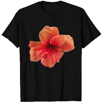 Discover Orange colour hibiscus flower T Shirts