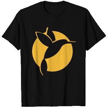 Discover Hummingbird Sun T Shirts