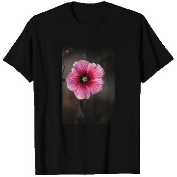 Discover Hibiscus acetosella or cranberry hibiscus T Shirts