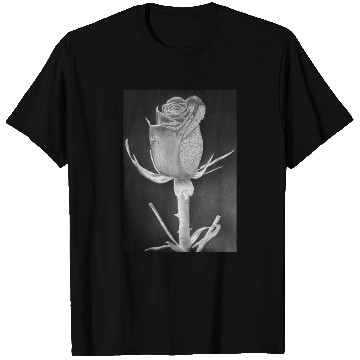Discover Realistic Graphite Rose & Dew Drawing - RT Art © T Shirts
