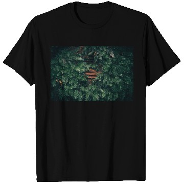 Discover Moss covered tree T Shirts