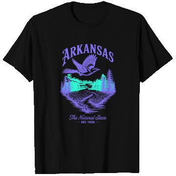 Discover Arkansas Natural State Icons T Shirts