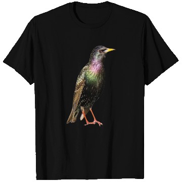 Discover 3 Bird T Shirts