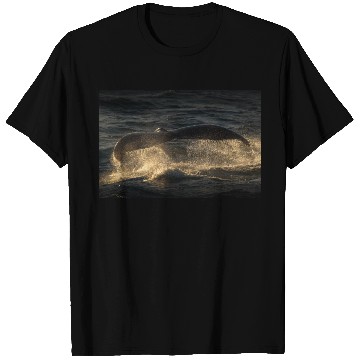 Discover Humpback Whale Tail T Shirts