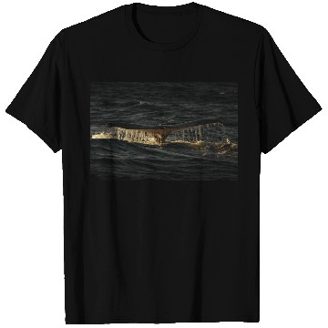 Discover Humpback Whale Tail T Shirts