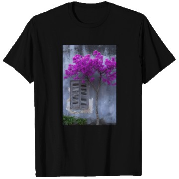 Discover Vibrant Blossom Against Rustic Wall T Shirts