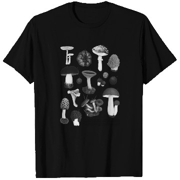 Discover Forest Gems – Scientific Wild Mushroom Chart T Shirts