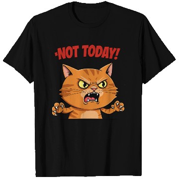 Discover Not Today Angry Cat T Shirts | Funny Grumpy Cat Mem