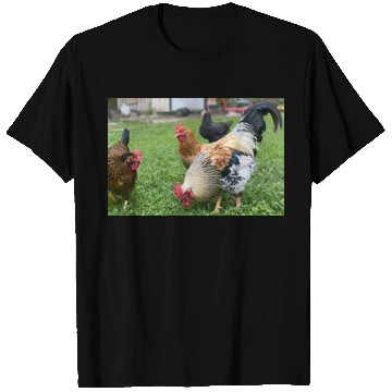 Discover Farmyard Rooster and Chickens Illustration T Shirts