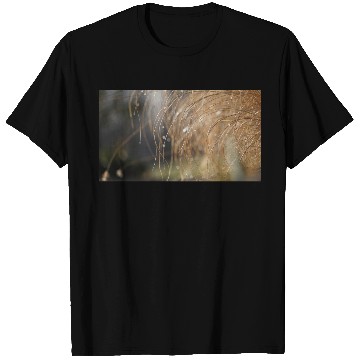Discover Tiny Dew Drops on Delicate Golden Grass T Shirts