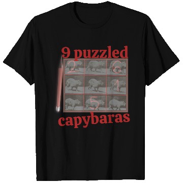 Discover Capybara Sudoku – Funny 9×9 Number Puzzle Gift T Shirts