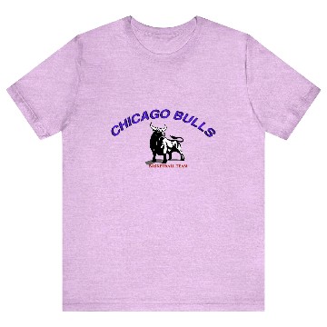 Discover CHICAGO BULLS T Shirts