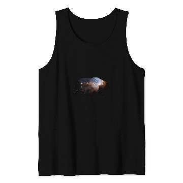 Discover Bear Pet Space Bear NASA Hubble Space Telescope Tank Tops
