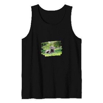 Discover Weimaraner Dog Lover 1 Tank Tops