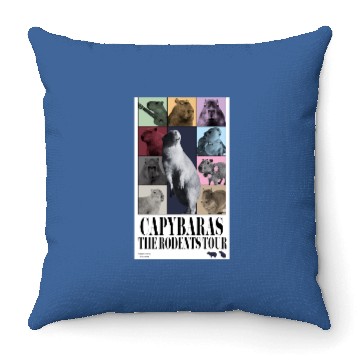 Discover Eras Tour Throw Pillows