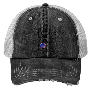 Discover Boise State Broncos Idaho Offilly Trucker Hats