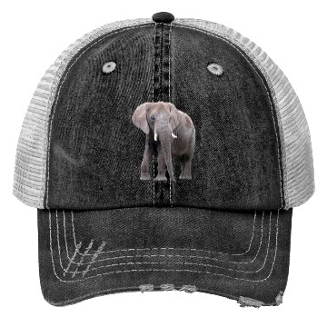 Discover Elephant Trucker Hats