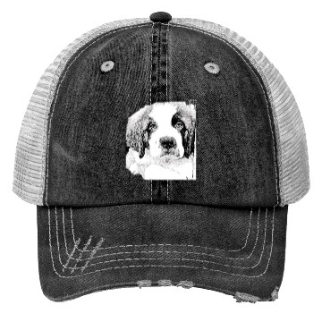 Discover Saint Bernard Trucker Hats