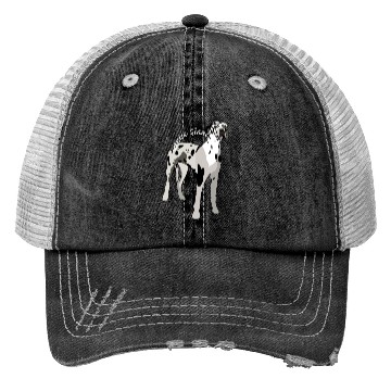 Discover Great Dane Trucker Hats