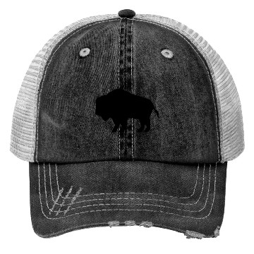 Discover Buffalo Trucker Hats