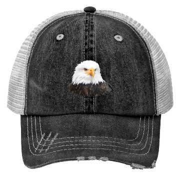 Discover Eagle Trucker Hats