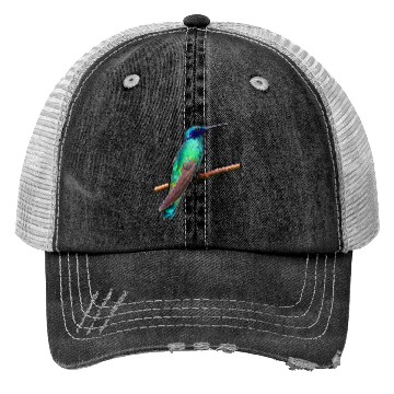 Discover Hummingbird Trucker Hats