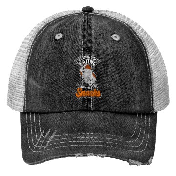 Discover Hamster Rodent Sweet Trucker Hats