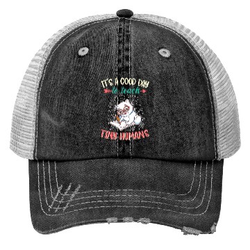 Discover Good Day To Teach Tiny Humans Elementary Teacher Trucker Hats